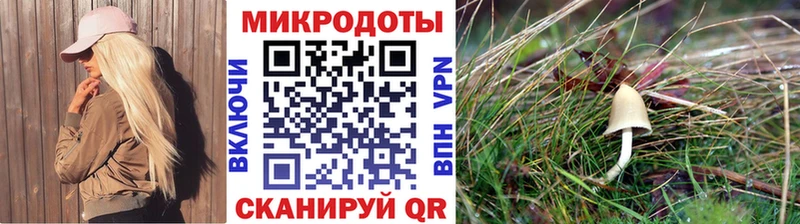 Псилоцибиновые грибы Psilocybine cubensis  darknet клад  Подпорожье  где купить наркоту 