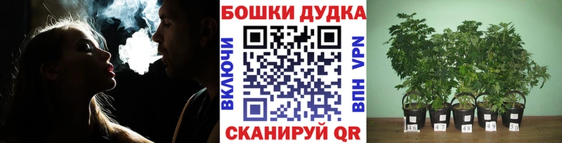 кракен рабочий сайт  Подпорожье  Шишки марихуана LSD WEED  наркота 